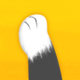 猫爪社交平台-猫爪社交app安卓版v0.1.2