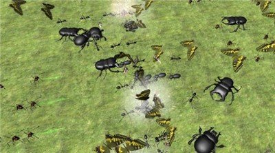 昆虫大军中文版图2